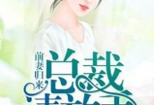 主人公叫夏忆沈默寒楚梦裴俊的小说前妻归来：总裁，请放手在线阅读章节-侠客文学