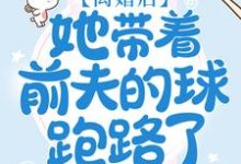 离婚后，她带着前夫的球跑路了 林湘程修齐小说在线章节免费阅读-侠客文学