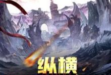 在线寻找范冲张巧巧尹欣的小说，纵横诸天万界免费阅读-侠客文学