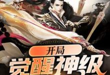 《开局觉醒神级辅助系统》小说章节列表免费试读,苏哲楚柔小说在线阅读-侠客文学