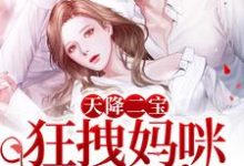 完结版《天降二宝：狂拽妈咪A爆了！》免费阅读-侠客文学