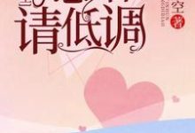 陆先生，隐婚请低调小说，陆先生，隐婚请低调最新章节-侠客文学