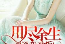 完结版《用尽余生说我爱你》章节阅读-侠客文学