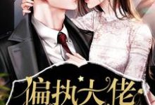 已完结小说《偏执大佬的娇气包》在线章节阅读-侠客文学