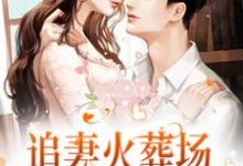 追妻火葬场！狗男人被虐惨啦小说，追妻火葬场！狗男人被虐惨啦在线阅读-侠客文学