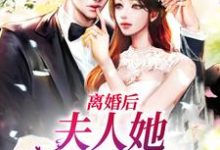 在线寻找离婚后，夫人她带崽出国了小说的无删减版本-侠客文学