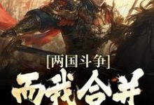 哪里能找到两国斗争，而我合并天下小说的全部章节？-侠客文学