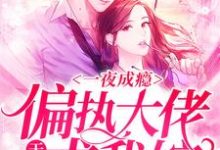 在线搜索唐裳傅烨畇的完整小说，免费阅读一夜成瘾，偏执大佬天天求我嫁-侠客文学