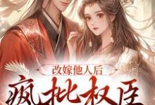 改嫁他人后，疯批权臣发疯了小说最新更新在哪里？免费在线看-侠客文学