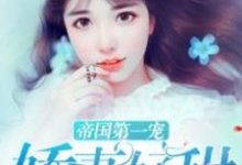 帝国第一宠：娇妻好甜小说最新更新在哪里？免费在线看-侠客文学