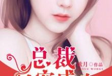 总裁一宠成欢小说的免费电子版在哪里可以下载或阅读？-侠客文学