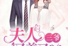 主角苏未眠陆景乔小说三爷，夫人又美又凶免费阅读-侠客文学