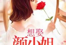 想娶颜小姐为妻颜汐霍瑨深应树，想娶颜小姐为妻最新章节-侠客文学