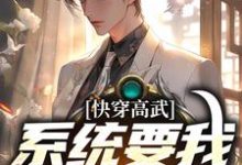 宁风是哪本书的主角？寻找快穿高武：系统要我做舔狗免费阅读-侠客文学
