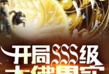 开局SSS级大佛果实，震惊世界免费阅读，开局SSS级大佛果实，震惊世界陈叶-侠客文学