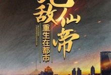 小说《无敌仙帝重生在都市》在线章节阅读-侠客文学