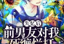 《失忆后前男友对我死缠烂打》小说章节列表免费试读，林繁池应小说在线阅读-侠客文学