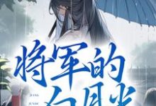 在线寻找叶翎褚越的小说，将军的白月光竟是我自己免费阅读-侠客文学