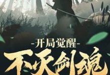 开局觉醒不灭剑魂这本小说怎么样？免费在线阅读试试-侠客文学