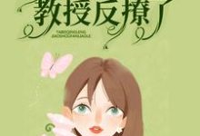 小说《暗恋无果后，她被清冷教授反撩了》章节免费阅读-侠客文学