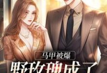 求马甲被爆，野玫瑰成了大佬掌中娇小说免费资源-侠客文学