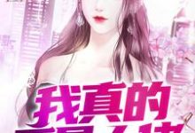 完结版《我真的不是大佬》章节目录在线阅读-侠客文学