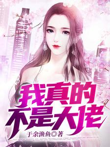 完结版《我真的不是大佬》章节目录在线阅读