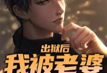 出狱后,我被老婆背刺了小说,出狱后,我被老婆背刺了最新章节-侠客文学