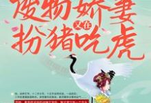 《战王接嫁：废物娇妻又在扮猪吃虎》小说章节列表免费试读，席然阎恒小说在线阅读-侠客文学