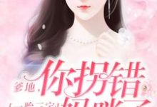 小说《一胎三宝：爹地，你拐错妈咪了！》章节免费阅读-侠客文学