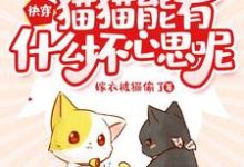 快穿：猫猫能有什么坏心思呢小说完结版章节免费阅读-侠客文学