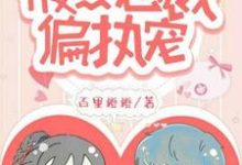 在线寻找叶舒颜司皓晗的小说，一念成婚：腹黑总裁偏执宠免费阅读-侠客文学