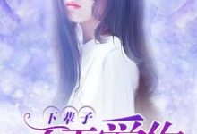 主人公叫苏音萧逸的小说哪里免费看-侠客文学