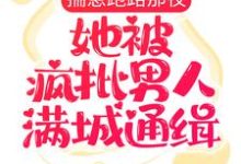 揣崽跑路那夜，她被疯批男人满城通缉齐夏赫连城，揣崽跑路那夜，她被疯批男人满城通缉小说免费阅读-侠客文学