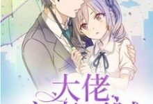 主角叫初歌穆琉影林霖的小说在哪阅读-侠客文学