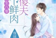 已完结小说《重生八零：养个鲜肉小傻夫》最新章节-侠客文学