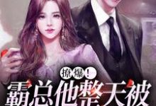 哪里能找到撩爆！霸总他整天被秘书玩失控小说的最新更新和免费章节？-侠客文学