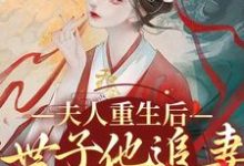 小说《夫人重生后，世子他追妻火葬场了》章节阅读-侠客文学