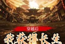 主角叫云龙顾雨菲的小说在哪阅读-侠客文学