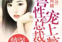 主角叫安雨菡许曜程雨菡小说亿万老公宠妻上瘾章节免费阅读-侠客文学