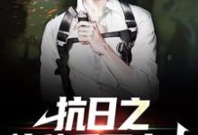 抗日之特种兵王出击小说有没有完整的免费版本在线阅读？-侠客文学