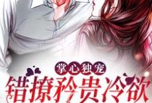 掌心独宠:错撩矜贵冷欲商圈太子爷霍时砚黎笙小说在线章节免费阅读-侠客文学