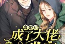 完结版《离婚后,成了大佬的心尖宠》章节目录在线阅读-侠客文学