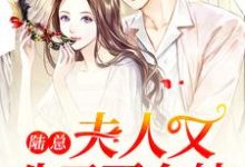 唐未晚陆寒沉小说在线章节免费阅读（陆总，夫人又生了两个娃无弹窗无删减）-侠客文学