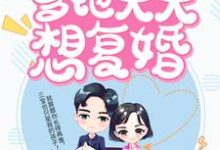 萌宝闹翻天：爹地天天想复婚小说有没有完整的免费版本在线阅读？-侠客文学
