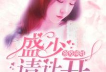 完结版《强势锁婚：盛少，请让开》章节阅读-侠客文学