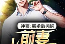 神豪：离婚后摊牌，前妻悔不当初小说的无弹窗阅读体验，寻找免费阅读网站-侠客文学