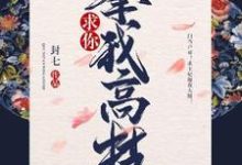 求你攀我高枝小说全文哪里可以免费看？-侠客文学