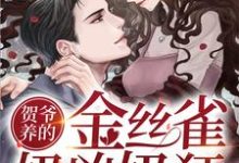 贺爷养的金丝雀奶凶奶狂小说，贺爷养的金丝雀奶凶奶狂黎姜贺琛-侠客文学