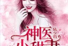 小说《陆少的神医小甜妻》在线章节阅读-侠客文学